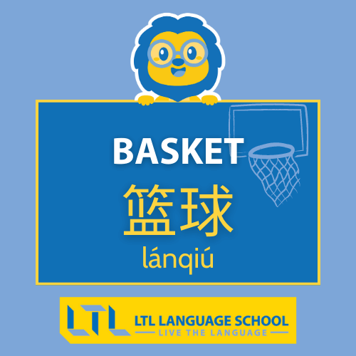 basket in cinese