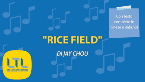 Rice Field di Jay Chou 🎶 稻香 (dào xiāng): Il Testo Completo Thumbnail