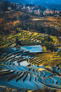Yuanyang - terrazze di riso - Cina