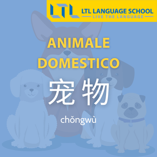 animale domestico in cinese