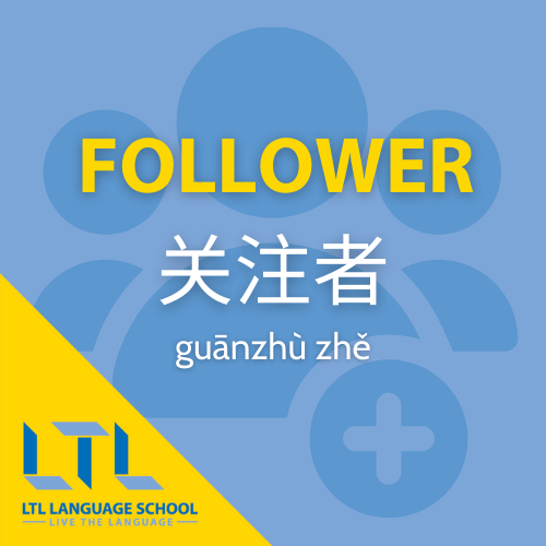follower in cinese