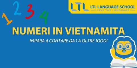 Numeri in Vietnamita: La Guida Completa Thumbnail