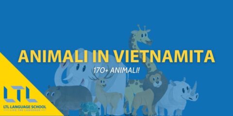 170 + Animali in Vietnamita: La Guida Completa Thumbnail